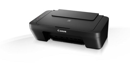 Canon printer pixma MG2550S